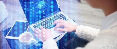 網(wǎng)絡(luò)工程 冷門(mén)專(zhuān)業(yè)的現(xiàn)實(shí)挑戰(zhàn)與性別迷思