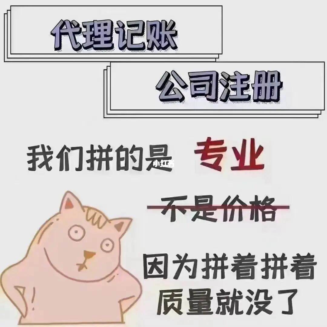 代理記賬與代理記帳 概念解析與現代應用